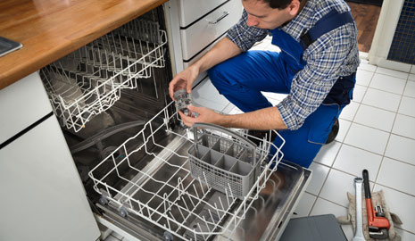 DishwasherProblems