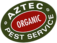 Pest Control Austin