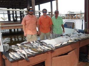 Great Box Of Speckled Trout