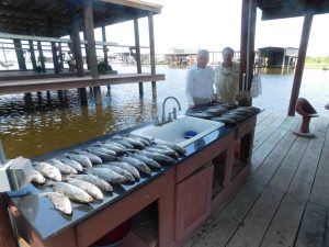 A Great Day On The Water