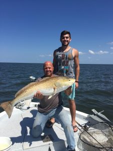 This Bull Red Made His Day