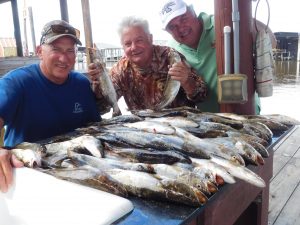 Bayou Electric had a great day on the water with Capt. Clay
