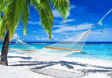 Don't miss out on our premier vacation packages. Call today!