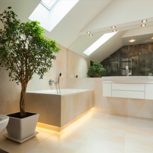 bathroomcta4