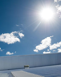 sw-image1