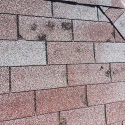 Wheatridge hail damage