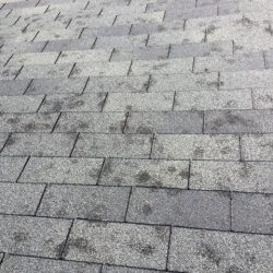 Hail Damage roof in Highlands