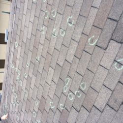 Test Square in Golden