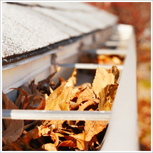 Gutter Cleaning Service Arlington VA - Professional ...