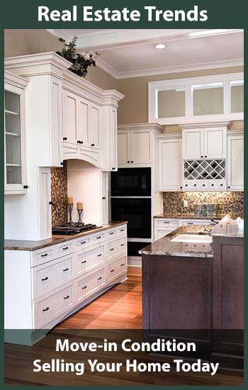 expensive luxury kitchen in white and dark wood