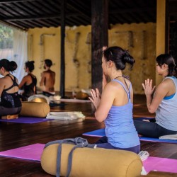 Take advantage of our holistic retreat. Call today to learn more!
