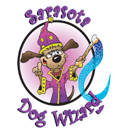 dogwizardlogo_new-logo