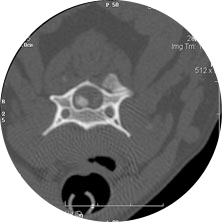 radiology3