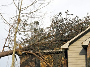 center-roof2