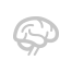 brain1